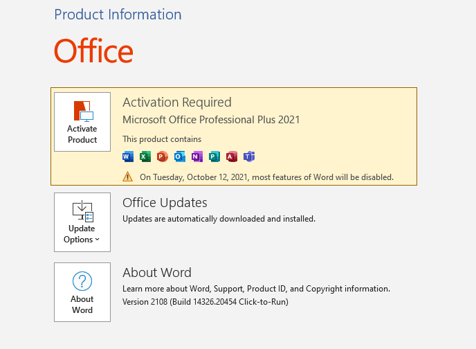 Microsoft Office 2021 Professional Plus Download and Install